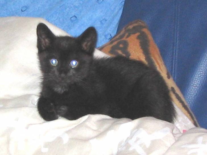 Mon &#39;tit loup d&#39;amour - (2 mois)