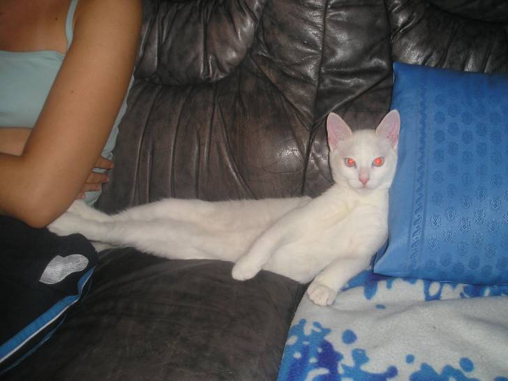 Georges -