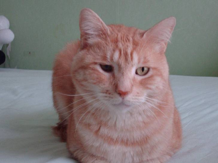 Marius -