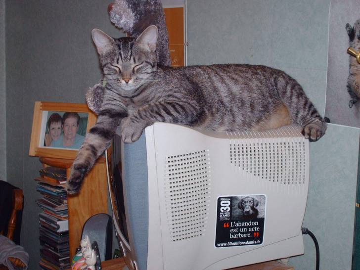 Artus roi de l&#39;informatique -