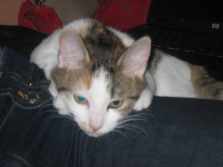 Encore 1 calin de lily -