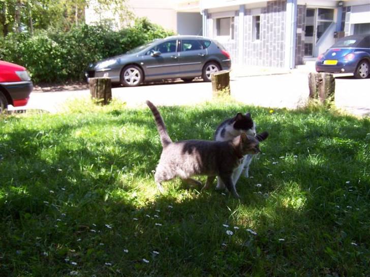 Mickey et cloé!! -