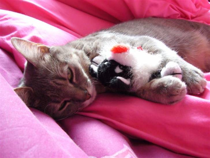 Cloé! -