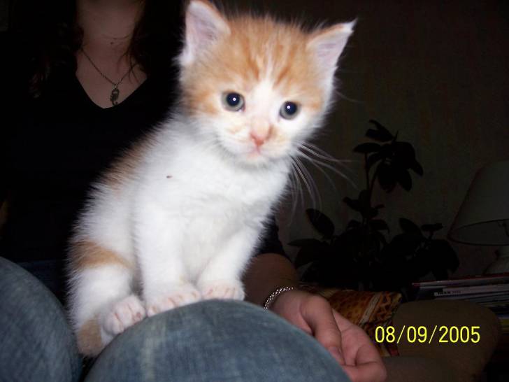 Caramel : 1 mois - (1 mois)