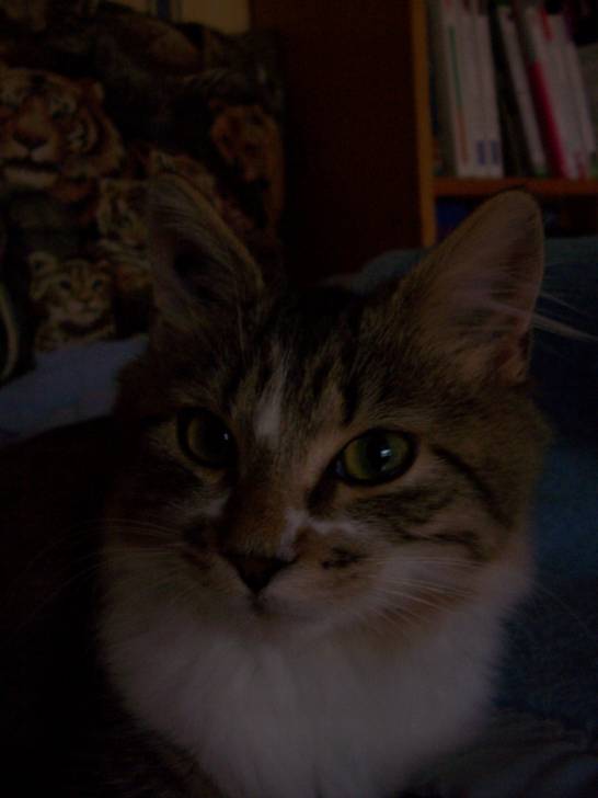 Photo (4 mois)