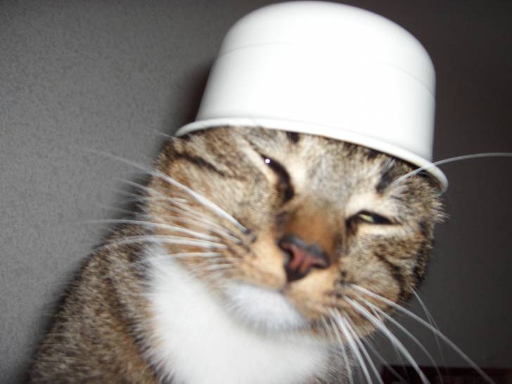 Un nouveau chapeau -