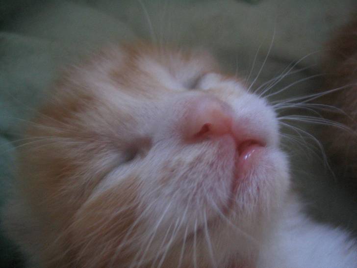 Benny -