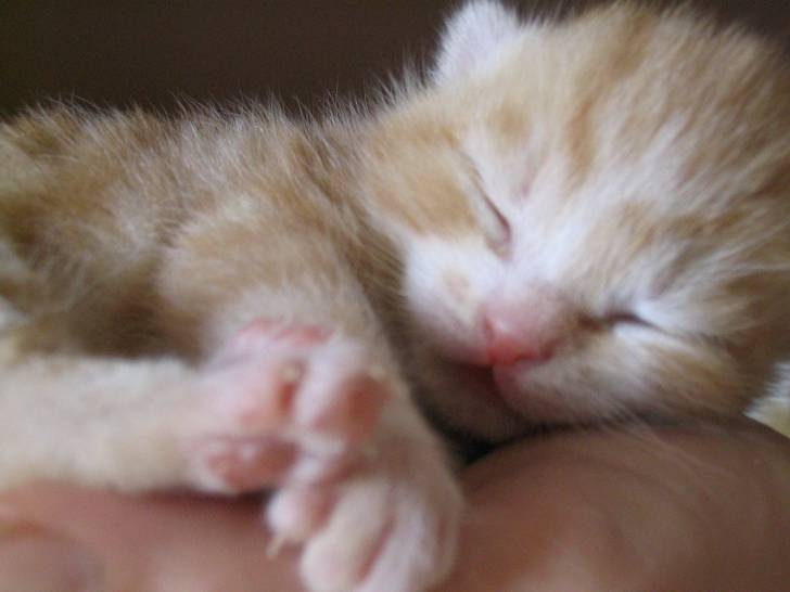 Benny -