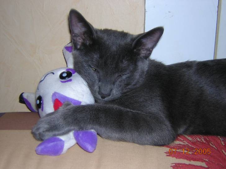 Abbou -