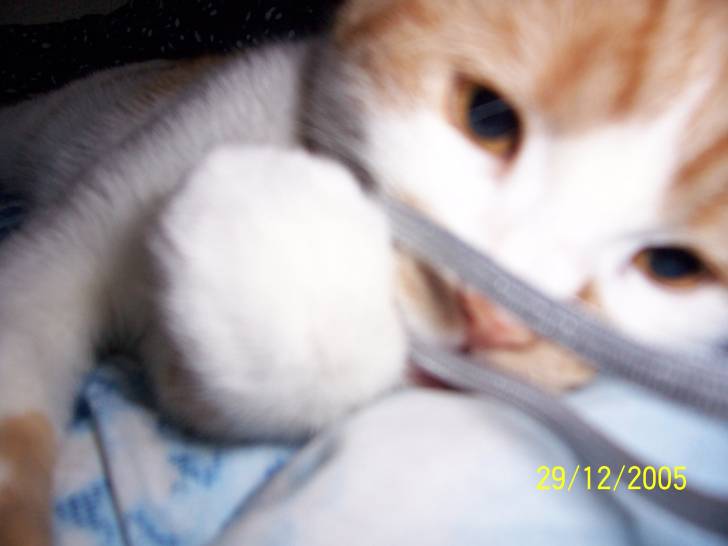 Caramel -
