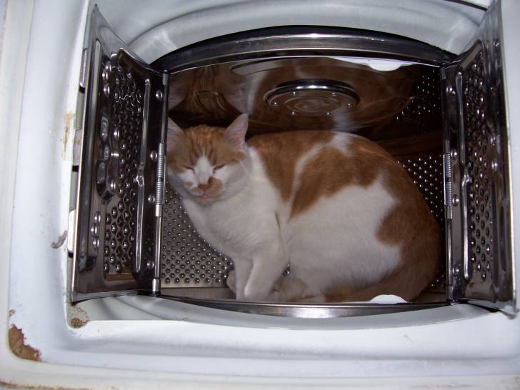 Caramel dans la machine à laver -
