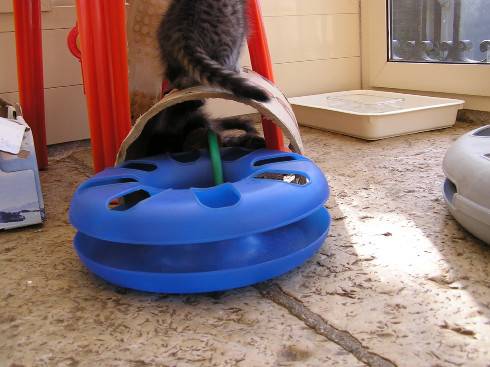 Tunnel trop petit.4 -