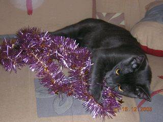 Abbou a noel -