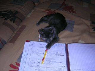 Abbou et les devoirs -