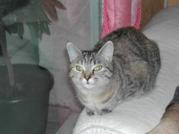 Lilou -