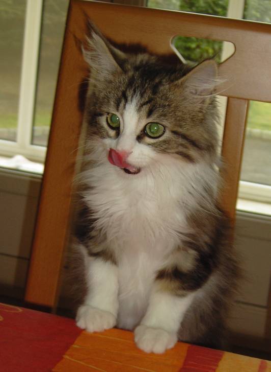 Miam ! -