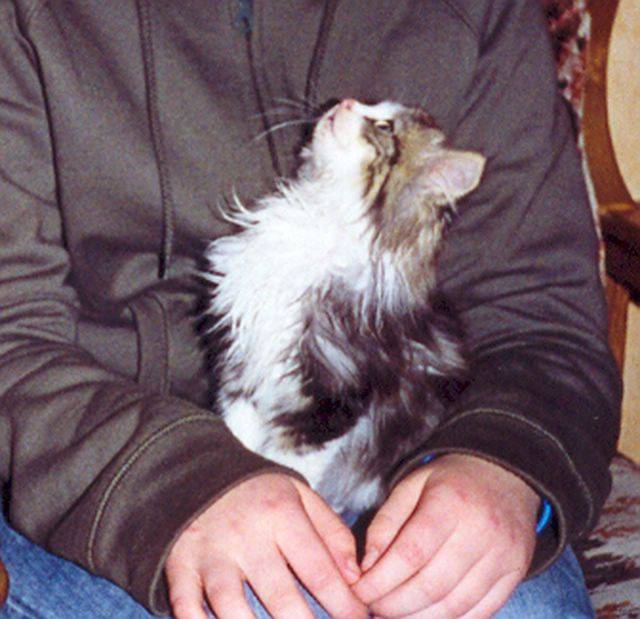 Coucou, toi ! -