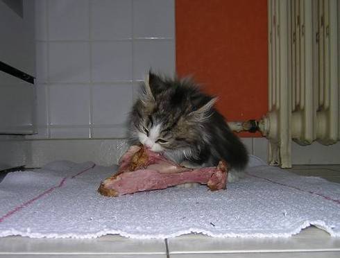 Grrrrrr...... -