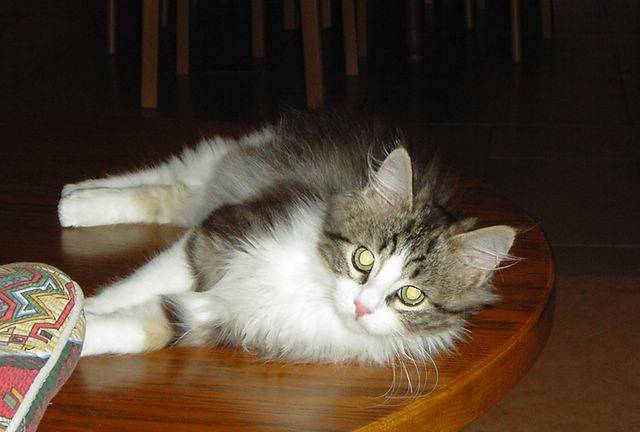 Petit repos -