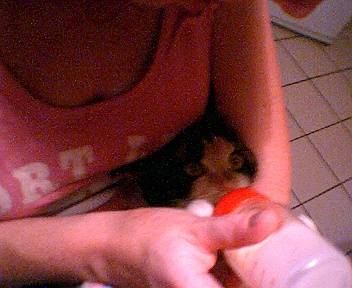 Zina -