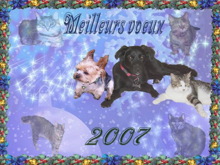 Meilleurs voeux -
