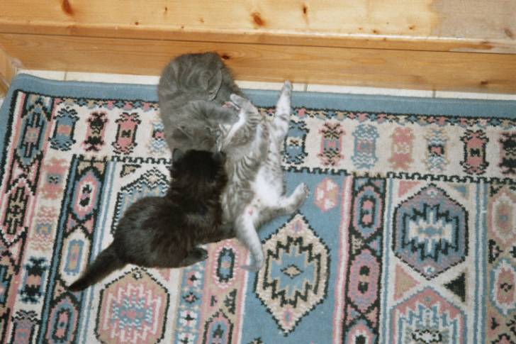 Action double -