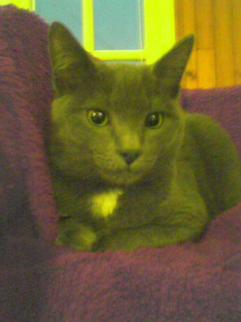Tout petit -
