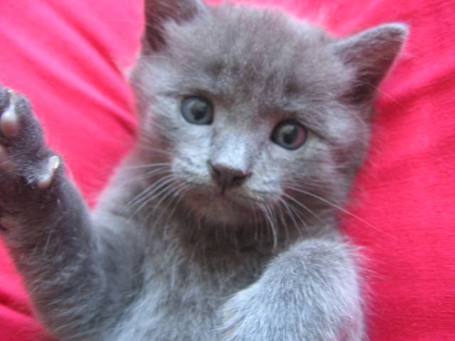 Ma photo préféré -