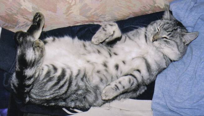 Léo : c&#39;est l&#39;heure de la sieste -