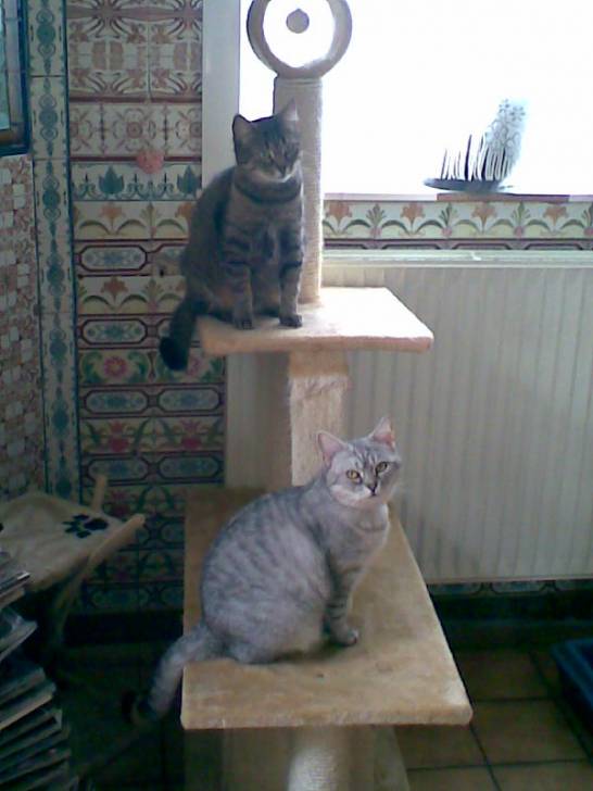 Mes enfants -