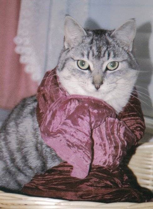 Léo pose en rose pour la photo -
