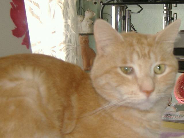 Marius -
