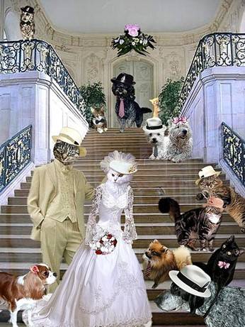 Mariage -