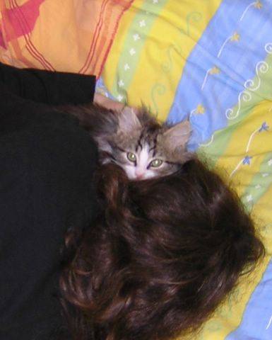 Câlin -