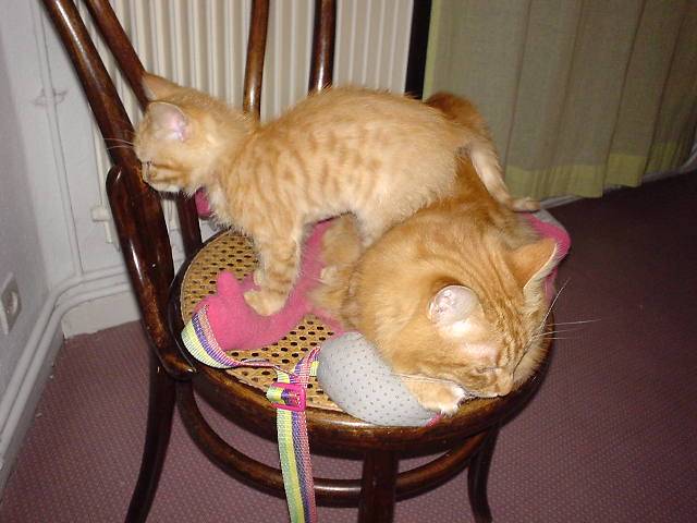 THéo et Sean qui cherche une place -