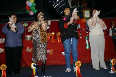 Best of Best -