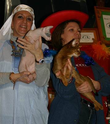 Best in Show -