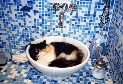 Zo? dans la salle de bain -