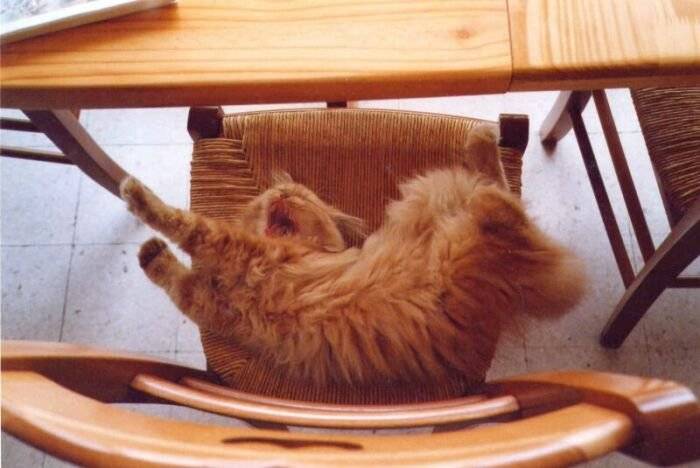 Tassili ? la sieste. -