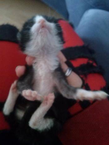 Hope - (1 mois)