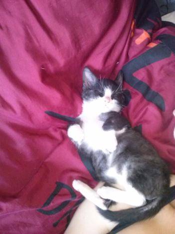 Hope - (5 mois)