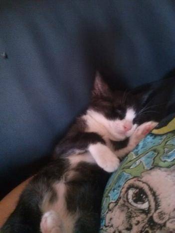 Hope - (6 mois)