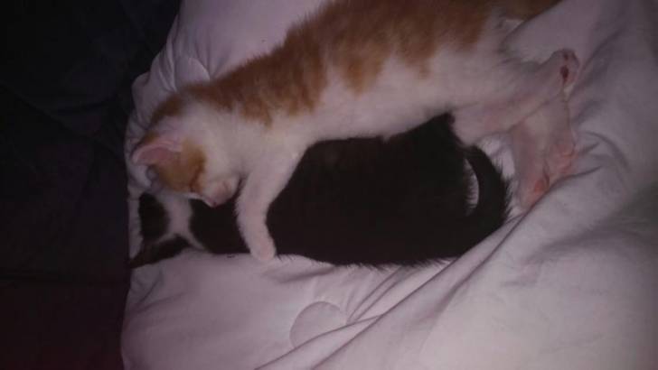Hope und Sam -