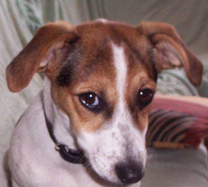 Lyla -