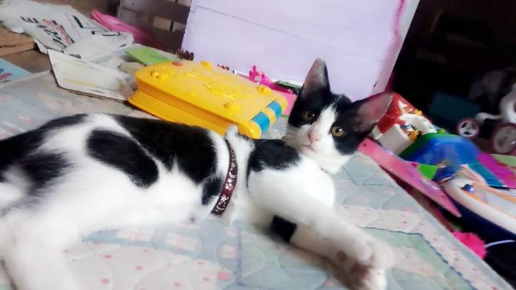 Maylie - (4 mois)
