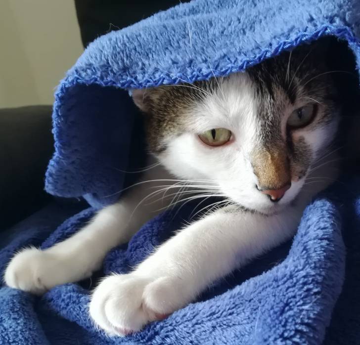 Curie - (2 ans)