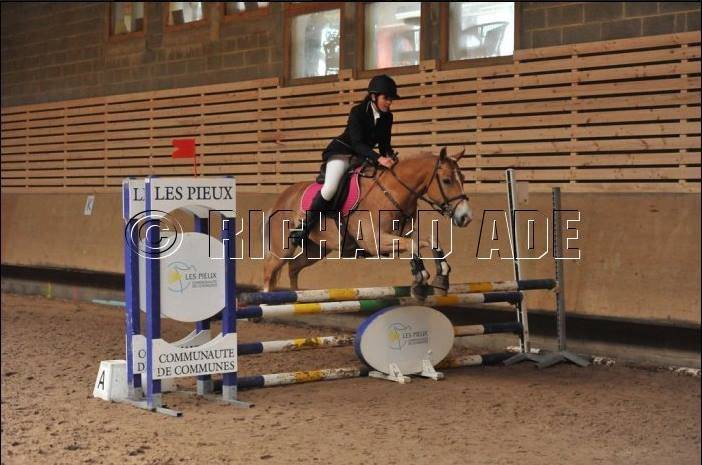 Ubileau - Mâle (8 ans)