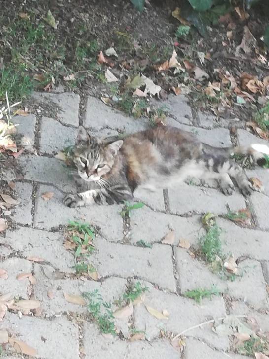 escargot - (14 ans)