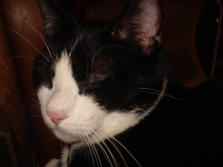 Betty (visage) - (4 ans)