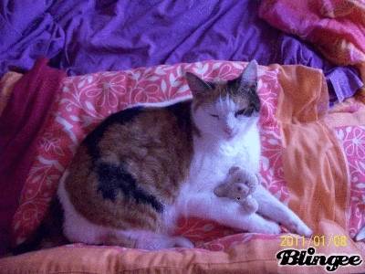 sissi - (8 ans)